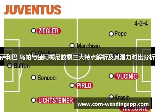 萨利巴 乌帕与楚阿梅尼胶囊三大特点解析及其潜力对比分析