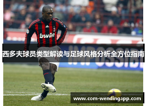西多夫球员类型解读与足球风格分析全方位指南