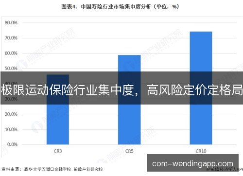极限运动保险行业集中度，高风险定价定格局